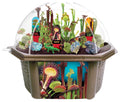 Unique Gardener Biosphere Terrarium Kit - Culinary Herb Collection