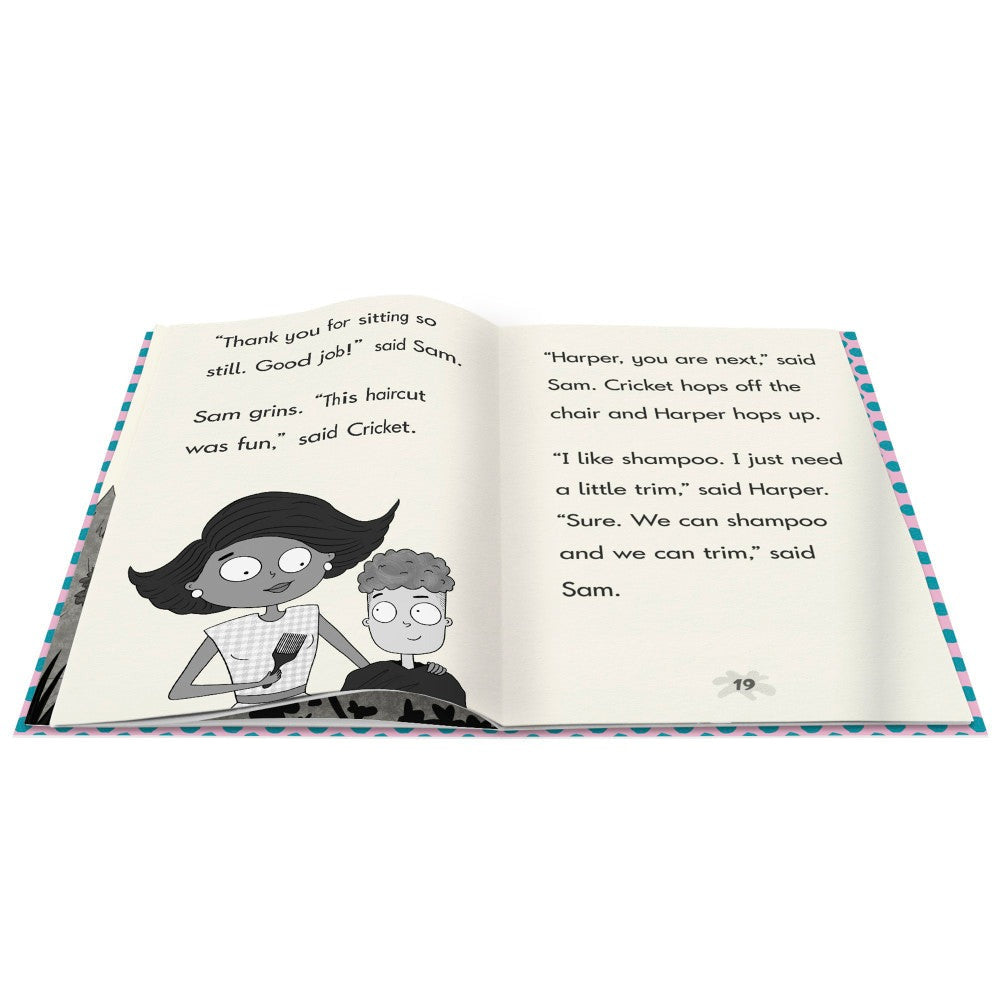 Junior Learning Cricket the Kid - Decodable Chapter Books - Multicolor Boxed Set