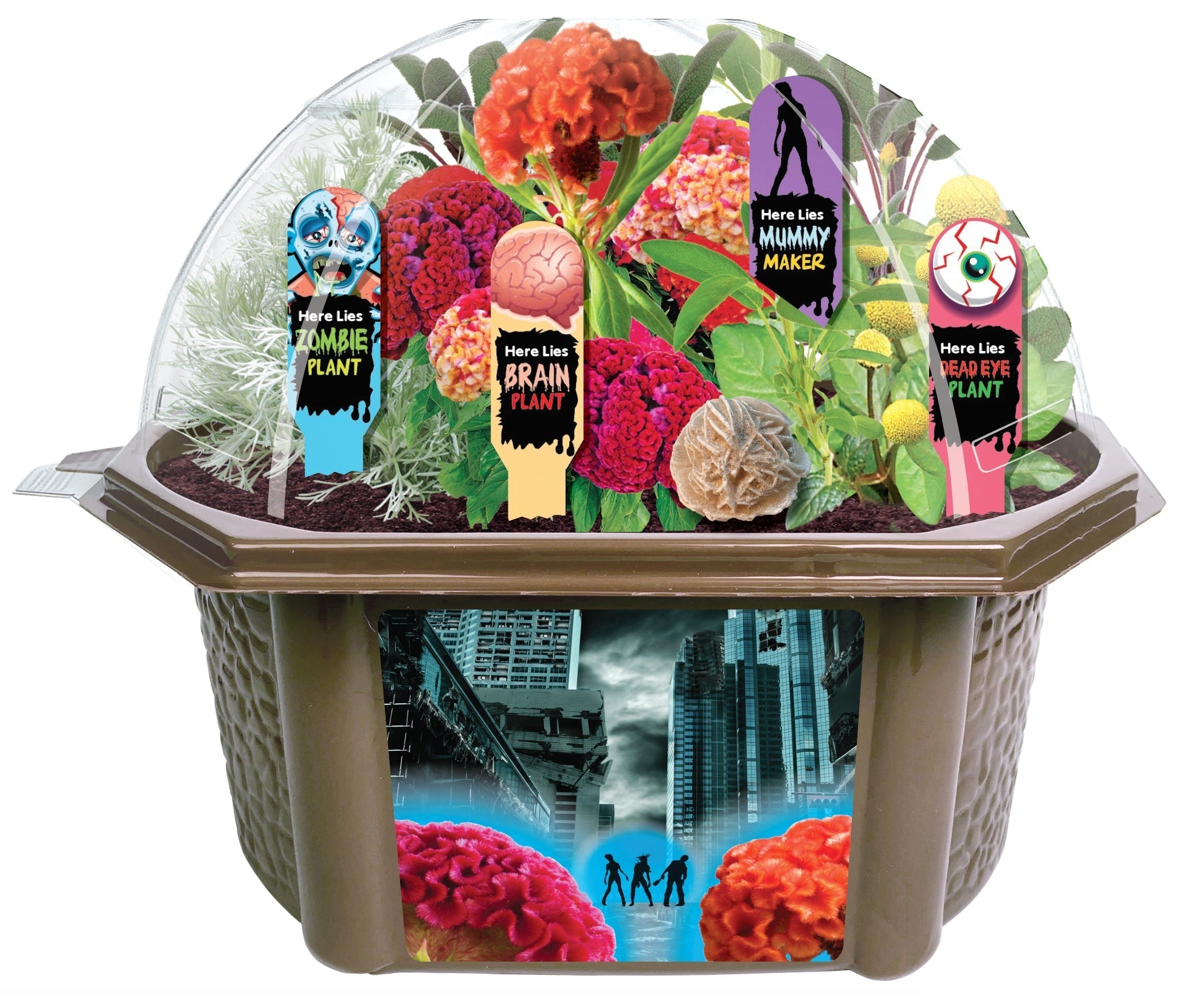 Toys By Nature Zombie Apocalypse Biosphere Terrarium Kit ‚Äì House of Horrors