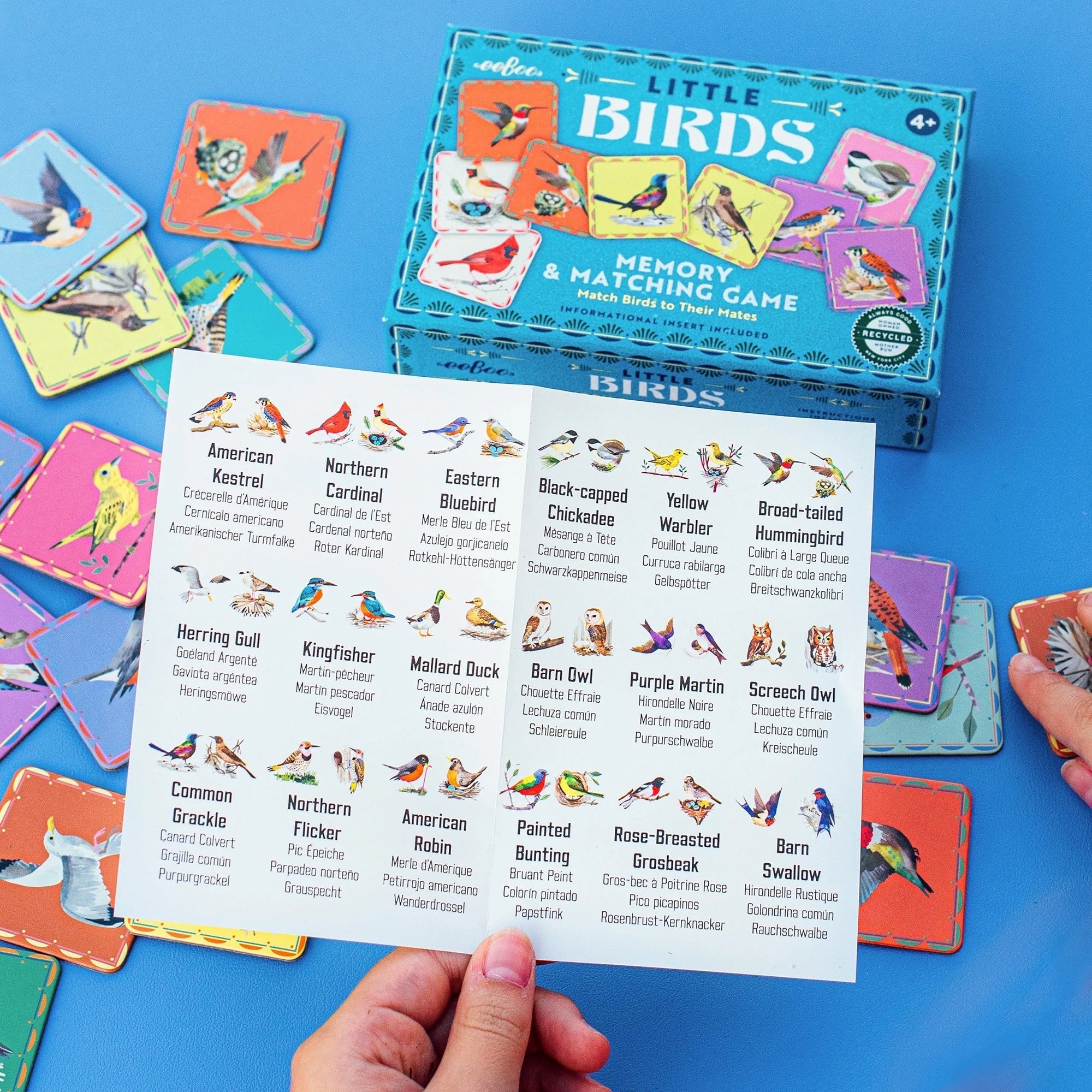 eeBoo Little Birds Memory Matching Game - 18 Illustrated Pairs