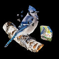 Madd Capp Blue Jay Bird-Shaped Jigsaw Puzzle - 300 pc