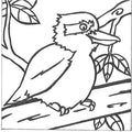 Paintadoodle Creative Arts Laughing Kookaburra Canvas Painting Kit