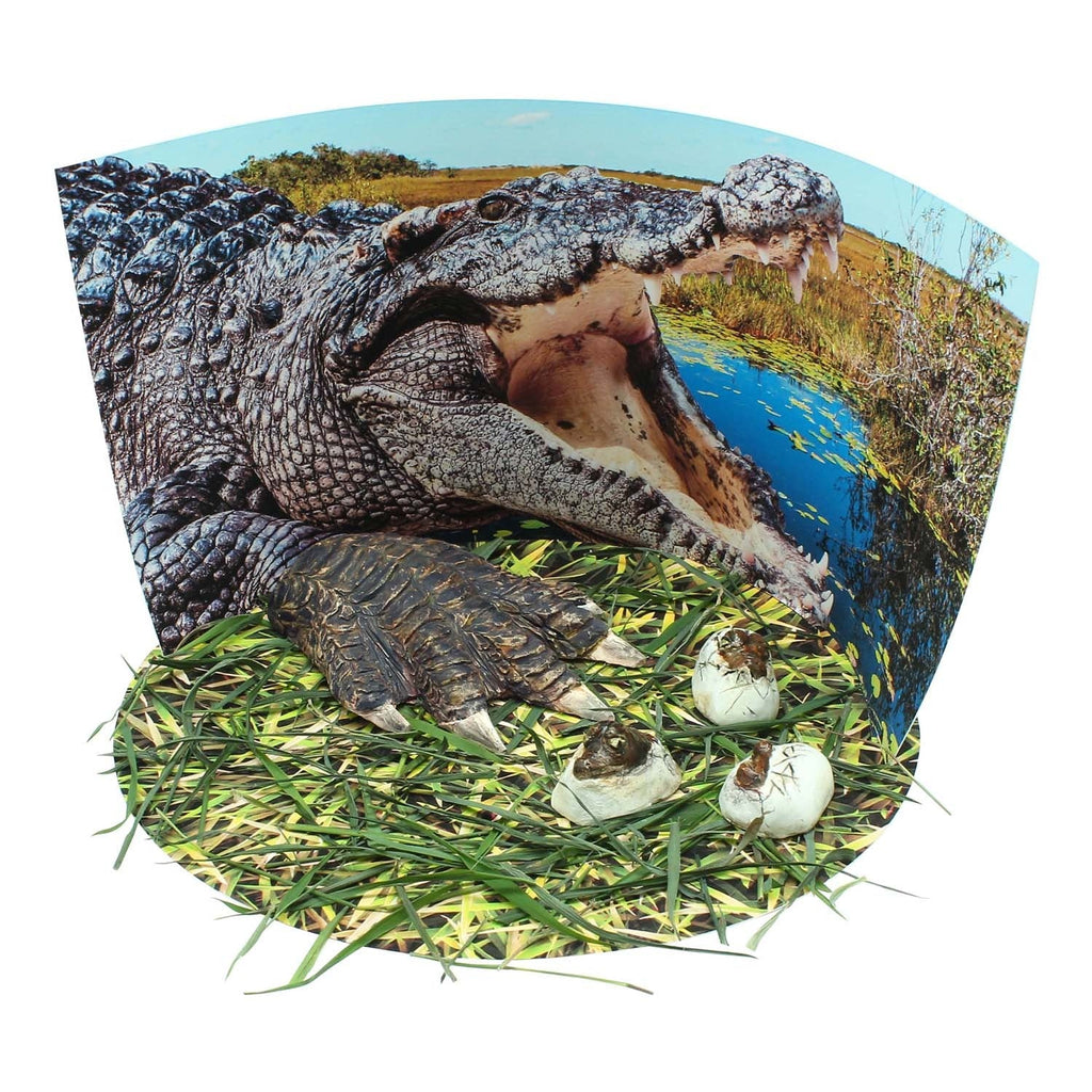 Wild Environmental Science Extreme Crocodiles Kit - Craft & Learn About Crocodiles