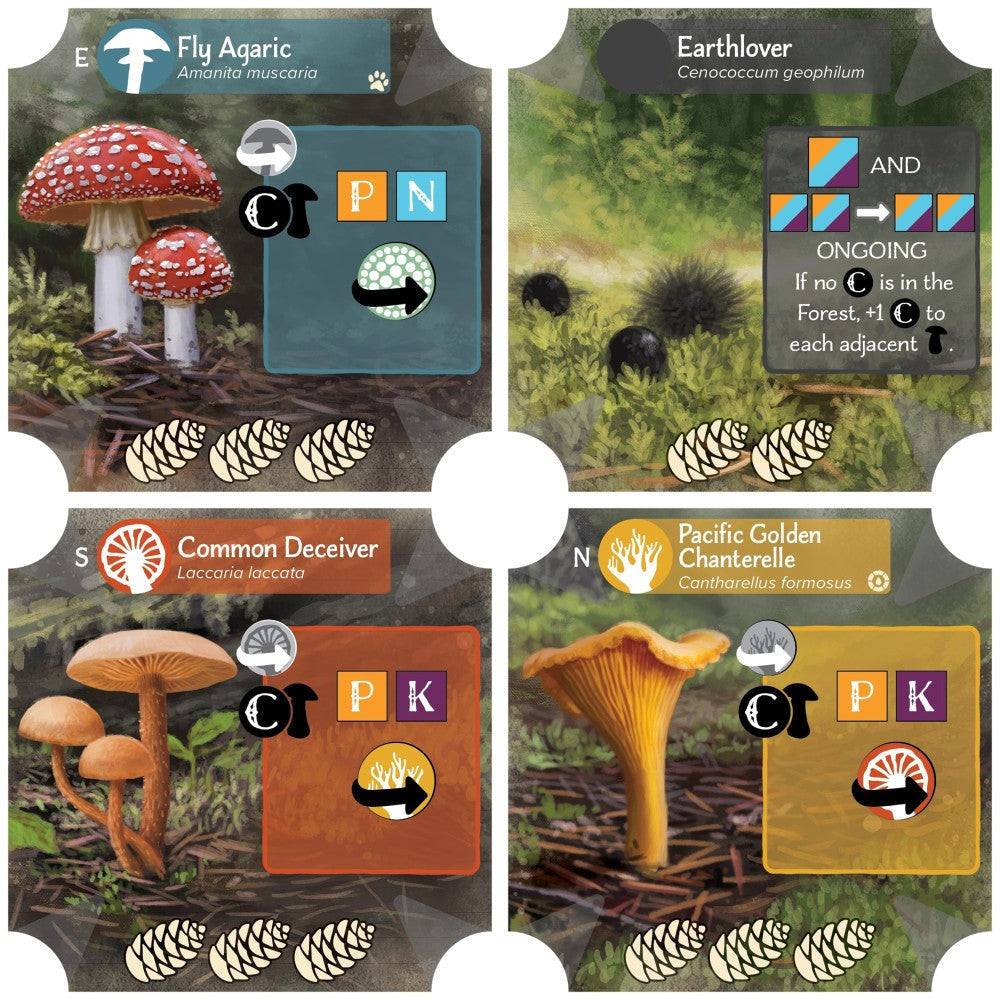 AEG: Undergrove - Forest Fungi Strategy Board Game